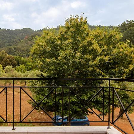 Evergreen Thassos Σκάλα Ποταμιάς Εξωτερικό φωτογραφία