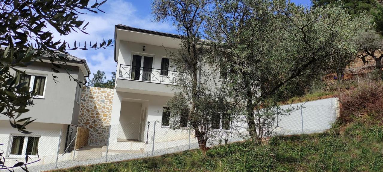 Evergreen Thassos Σκάλα Ποταμιάς Εξωτερικό φωτογραφία