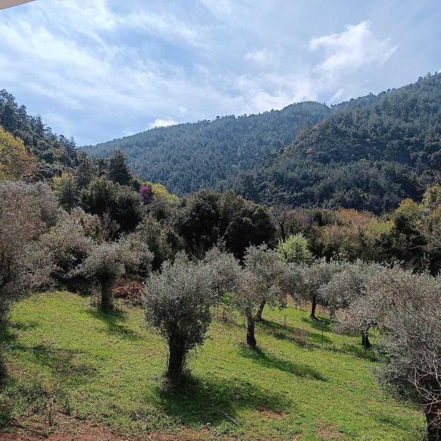 Evergreen Thassos Σκάλα Ποταμιάς Εξωτερικό φωτογραφία