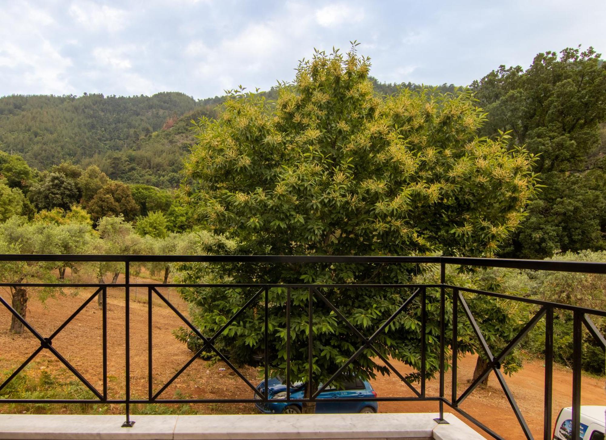 Evergreen Thassos Σκάλα Ποταμιάς Εξωτερικό φωτογραφία